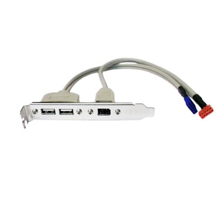 Placa I/ O 2xUSB 1xFirewire