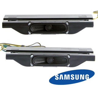 Colunas TV Samsung UE40ES6100W 10W (BN96-21667C)